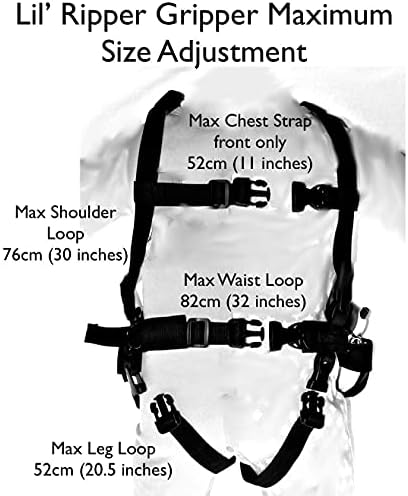 Treniruočių pavadėliai slidinėti